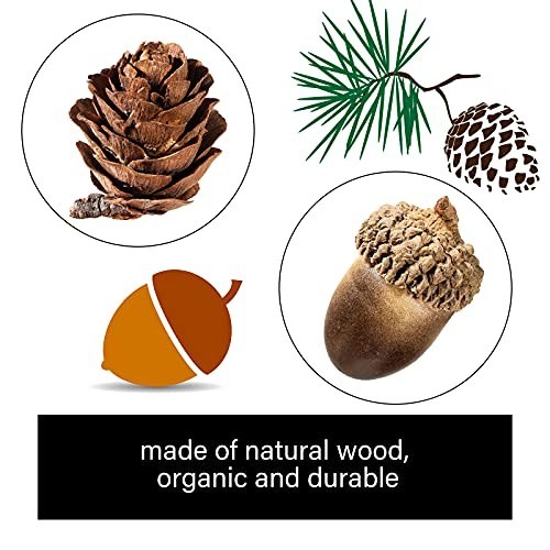 200 Pcs Artificial Acorns & Mini Pine Cones – Lifelike Decor for Crafts, Vases,