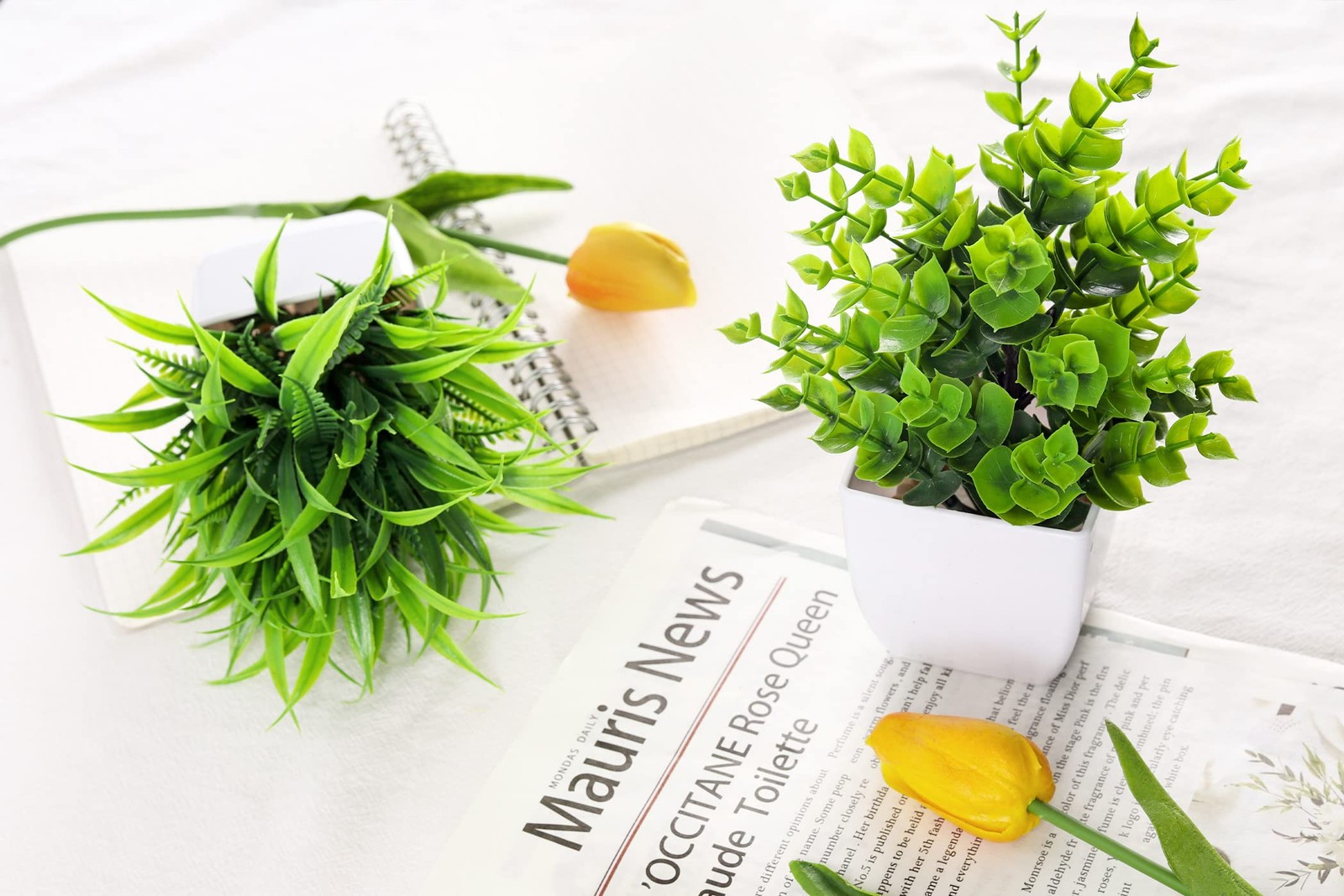 Der Rose 2 Pack Small Fake Plants Mini Artificial Potted Plants for Table Desk