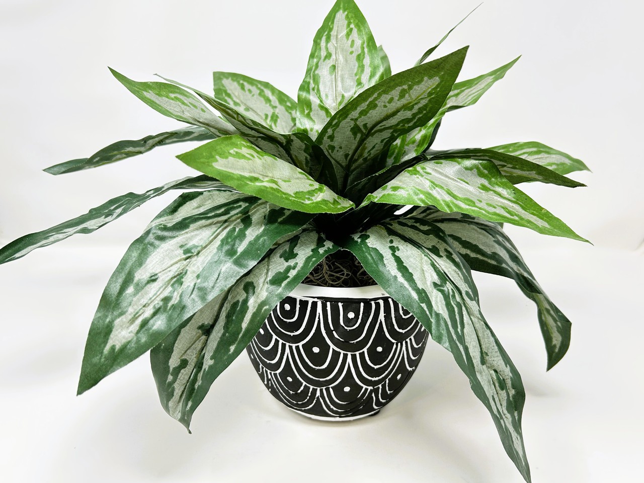Silk Silver King SWORD plant in Black Ceramic Pot, handmade original by Lower Fo