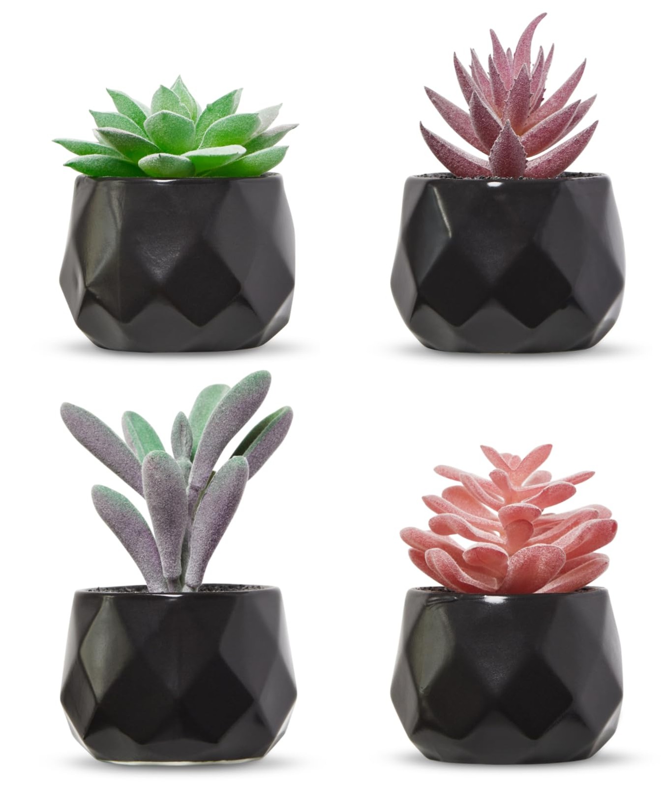 Nordik Set of 4 Desk Plants – Geometric Round Black Pots – Perfect for Bathro…
