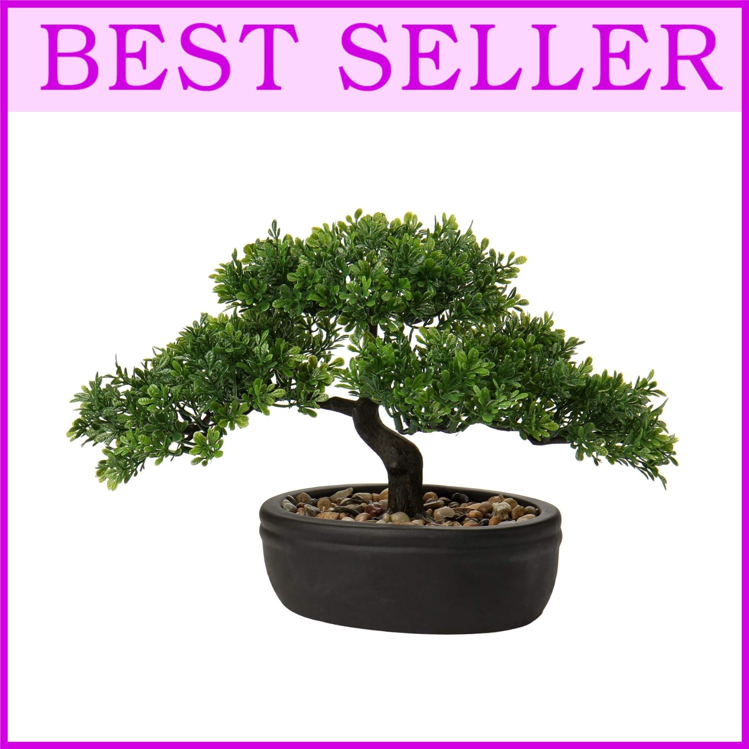 Indoor Bonsai Tree Juniper with Ceramic Pot/-