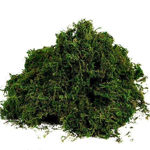 Artificial Moss Fake Green Grass for Centerpieces Home Kitchen 3.5oz, Fresh
