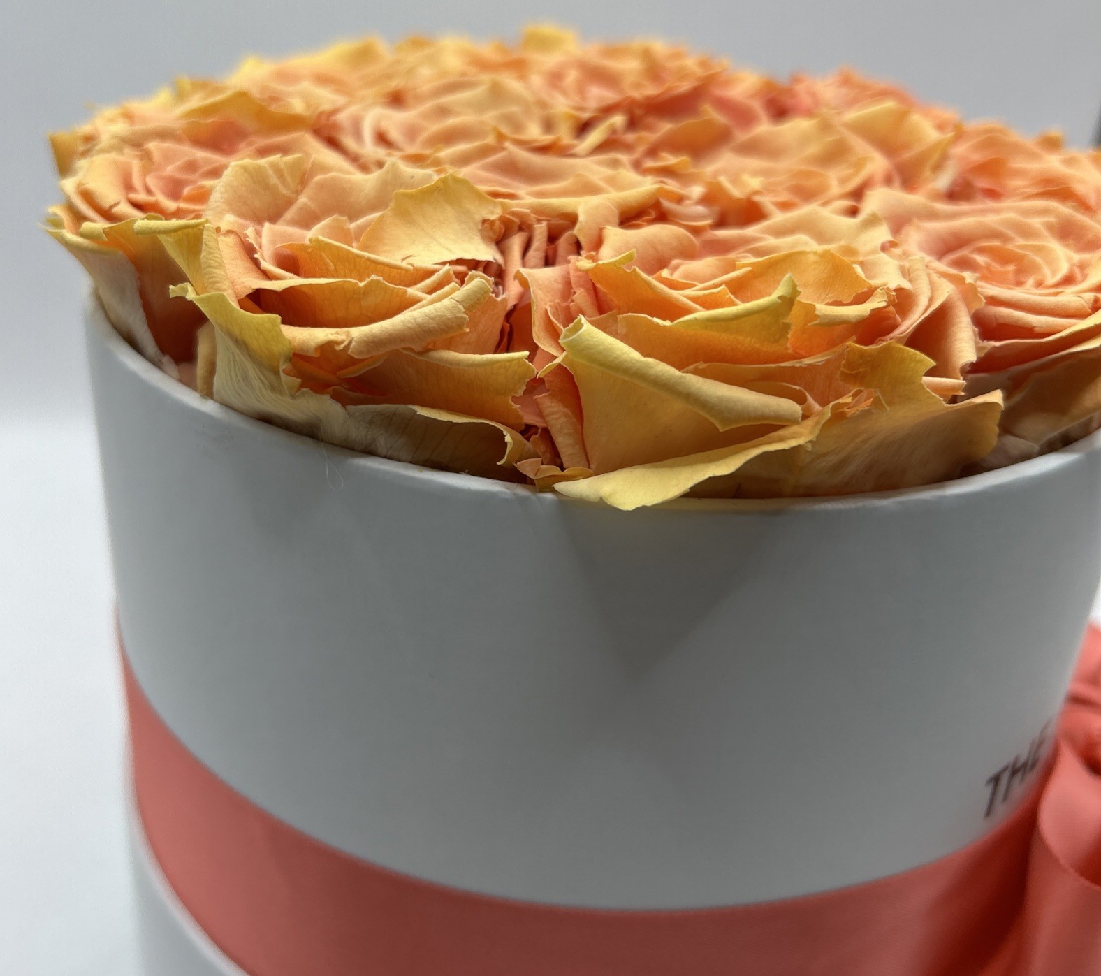 the million roses