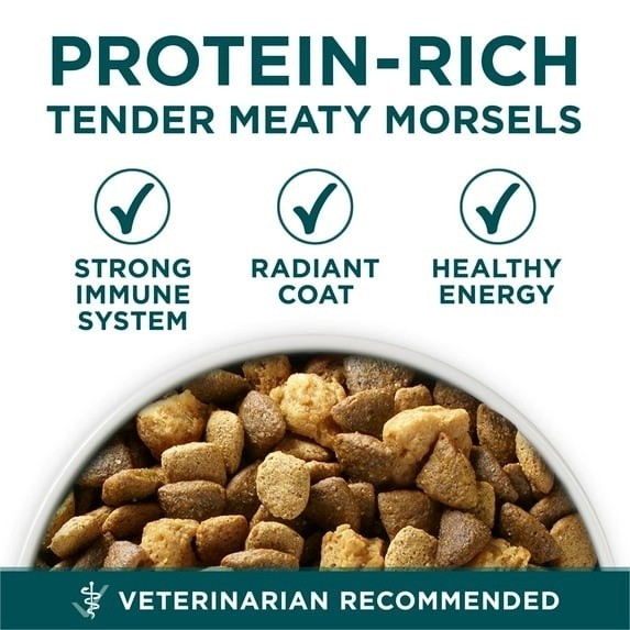 Purina One Plus Puppy Dry Dog Food for Large Dogs High Protein Growth Supprt, Re