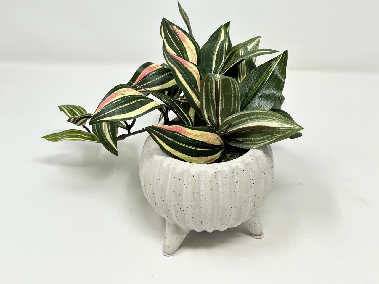 6″ Small PINK JEW faux Silk INCH plant potted in Matte Dot White Ceramic Pot, ha