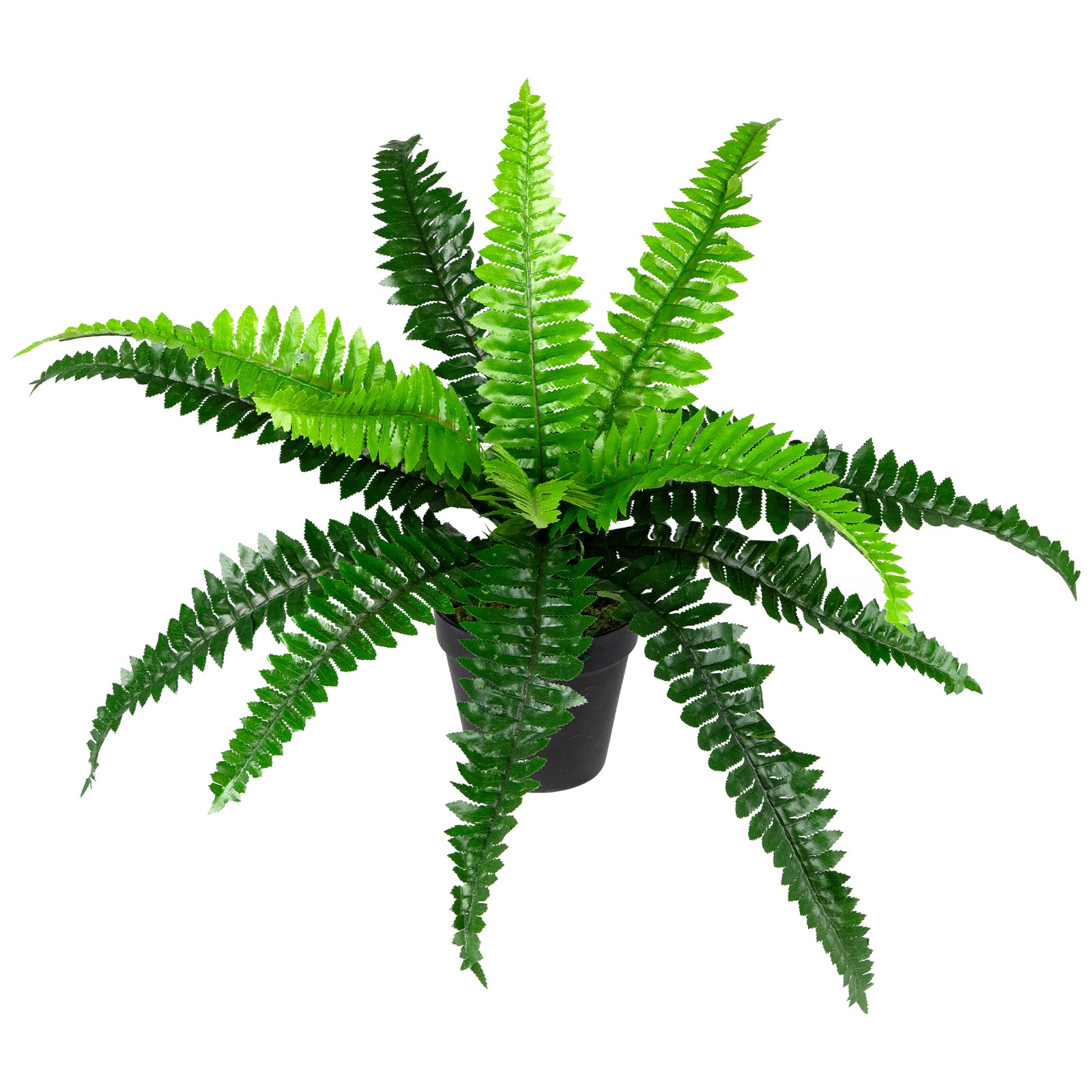 Northlight 15.75″ Potted Artificial Long Green Boston Fern Plant