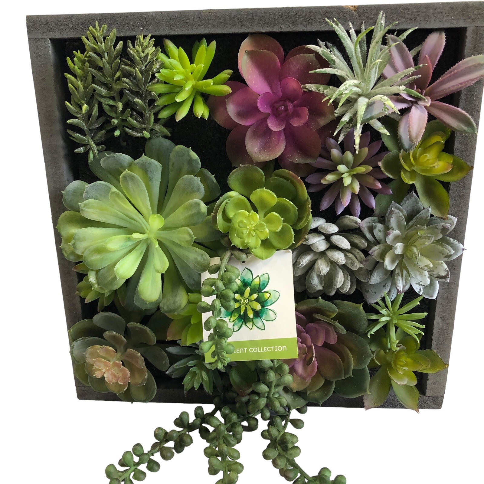 WALL OF FAUX SUCCULENT Cactus in Gray Wood Box Decor Display 12x12x3 inches New