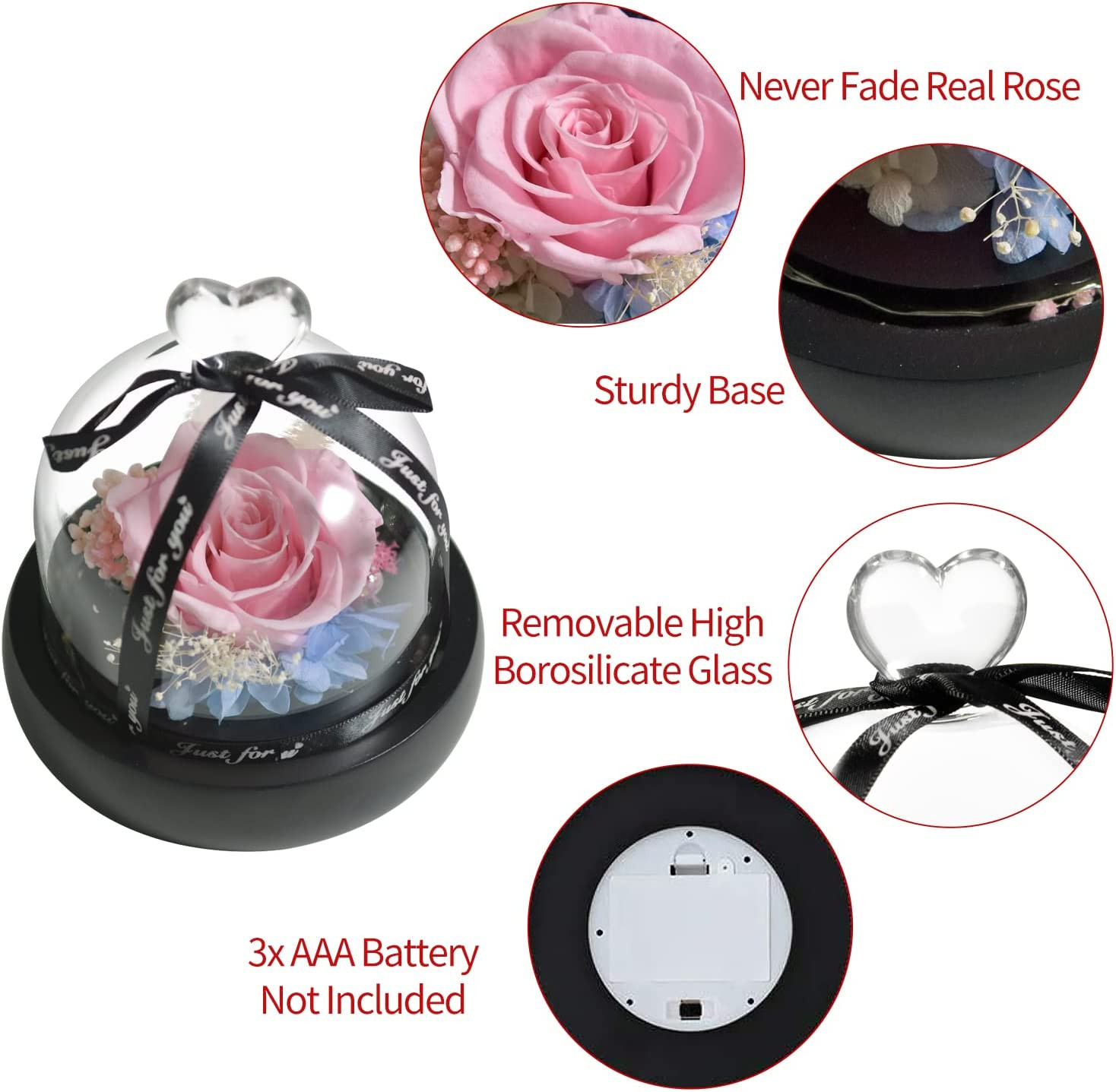 Gift for Women Forever Preserved Real Pink Rose in Glass Dome Gift for Valentine