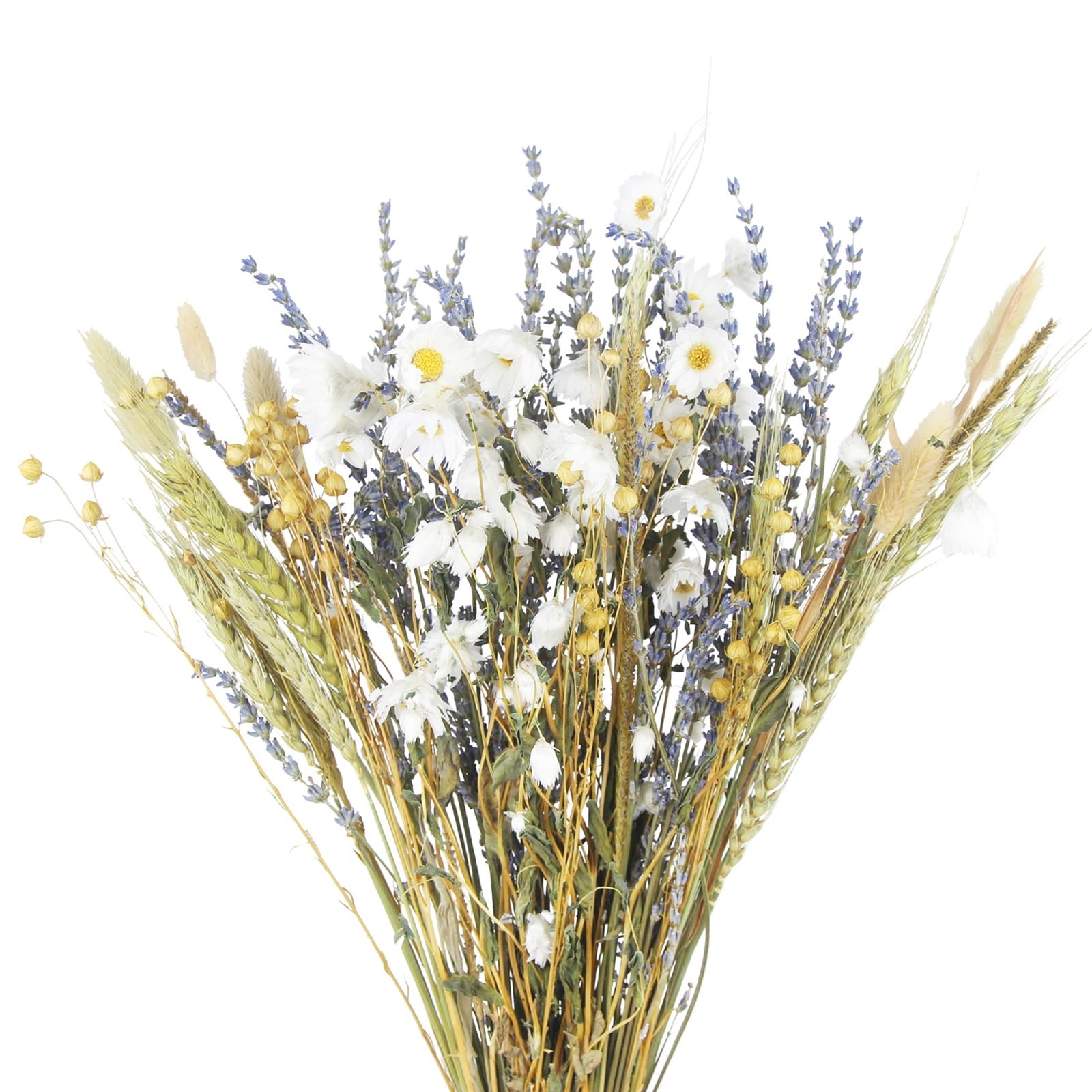 Dried Flowers Bouquet Dried Daisy Flowers Natural Lavender Bundles Dried