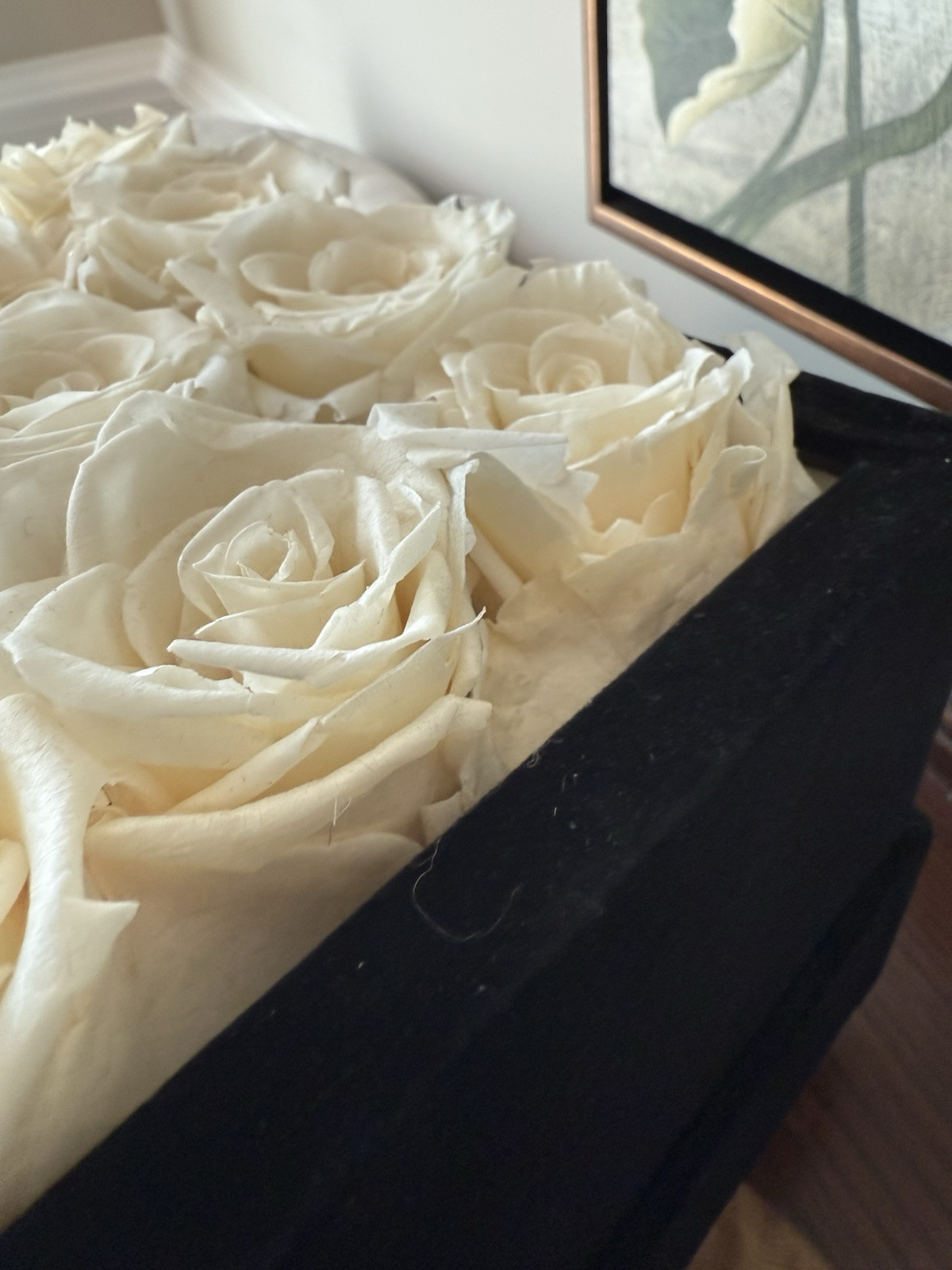 Rose Forever New York Real Preserved 16 White Roses Rose Black Velvet Square Box
