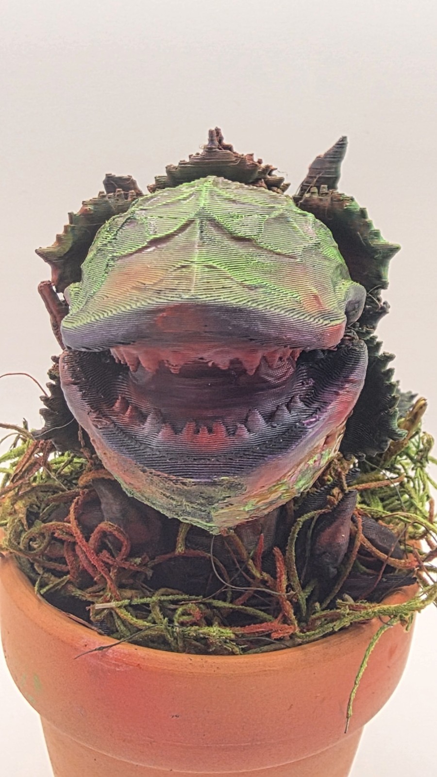 Audrey II Little Shop of Horrors Airbrushed Carnivorous includes Pot & Moss 5″