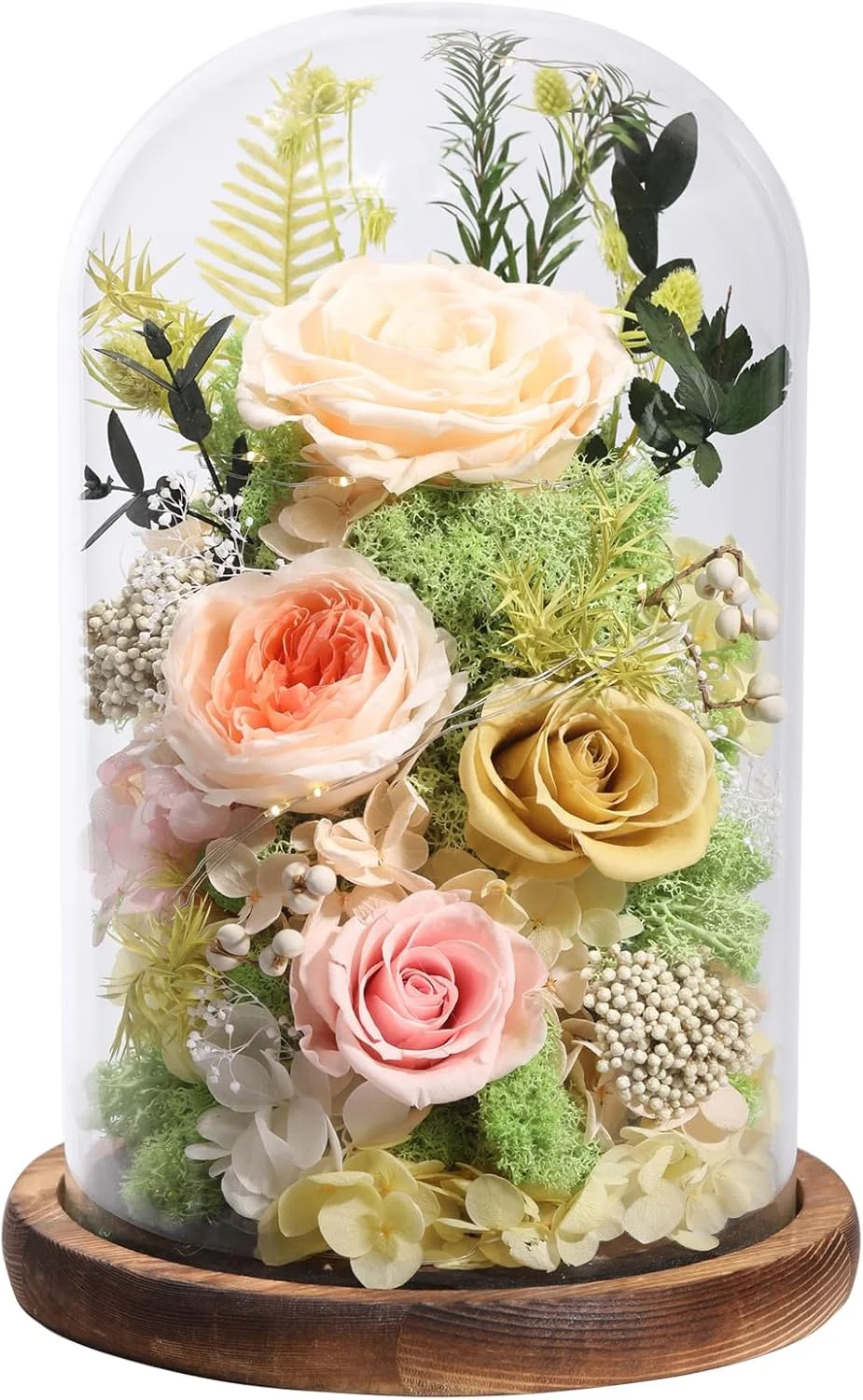 lovenfold Flowers for Delivery Preserved Flowers Rose in Glass Dome,Champagne Ro