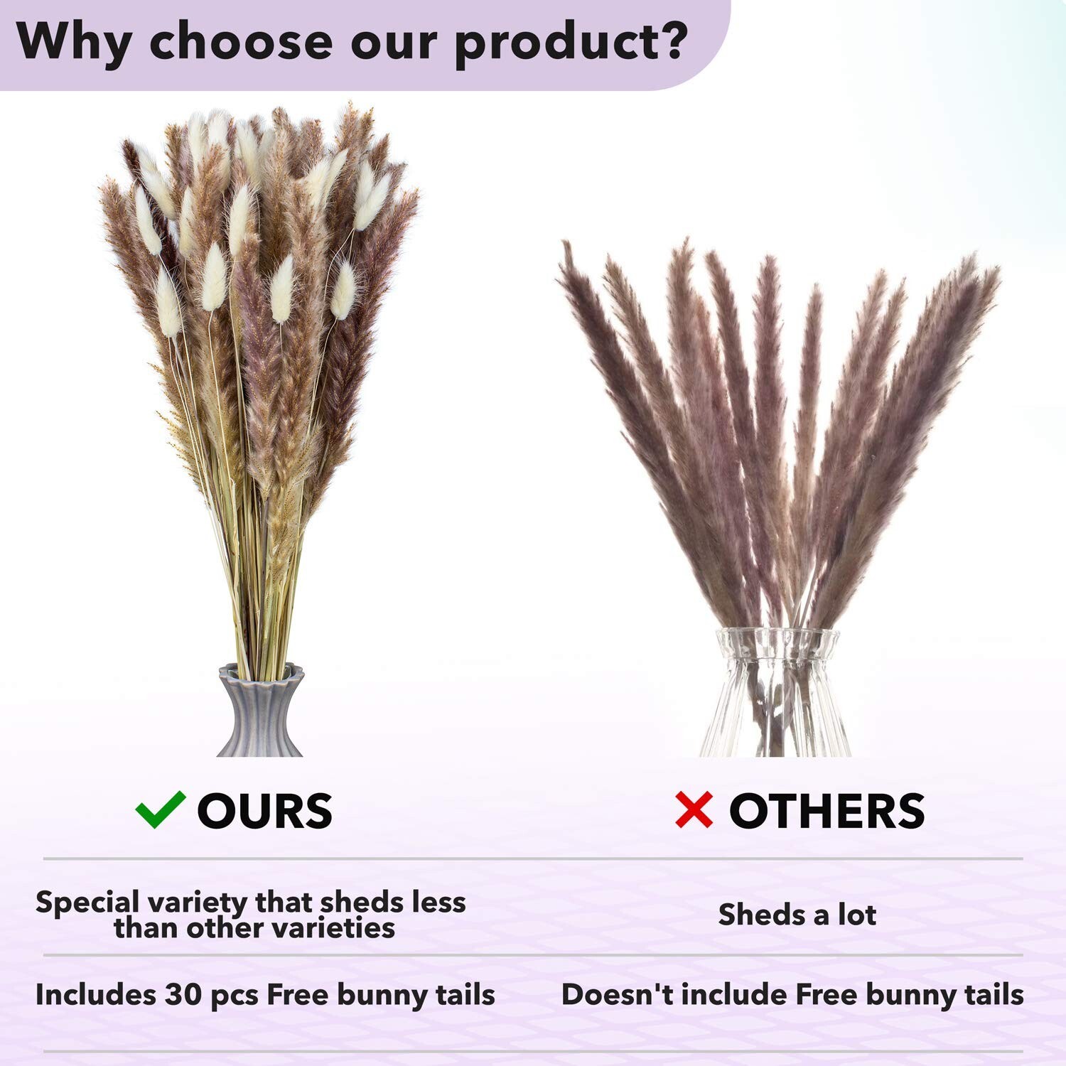 Jade Luxe dried Pampas Grass 60pcs 24″