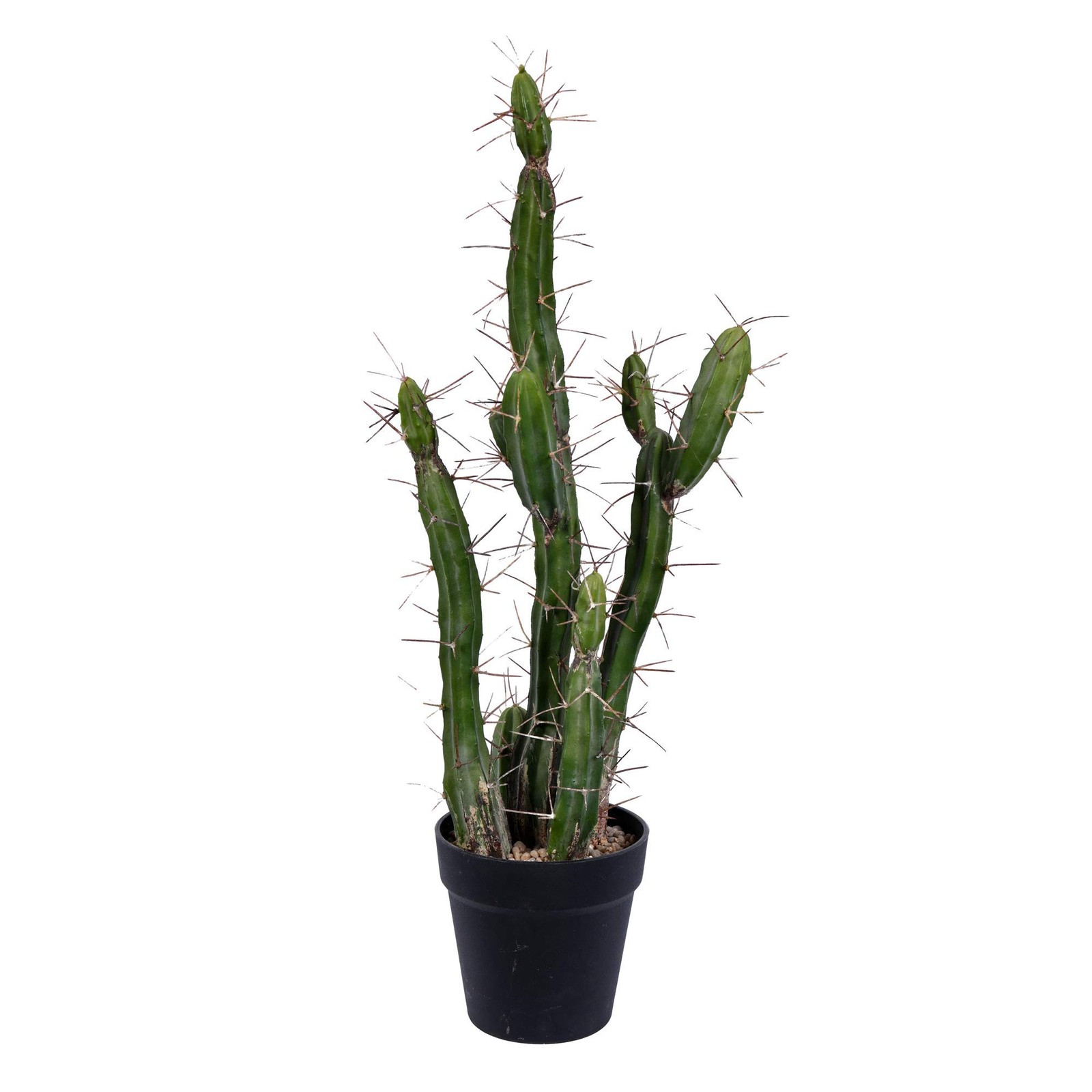 Vickerman 24″ Contemporary Plastic Artificial Cactus with Black Pot in Green