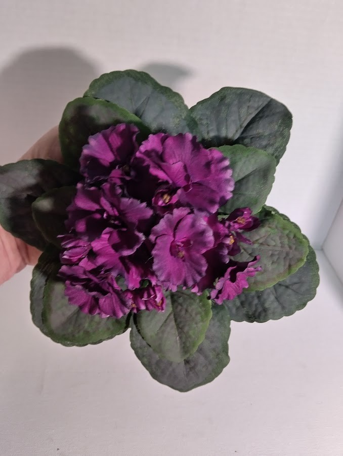 8″ Artificial African violet (WINE) without pot