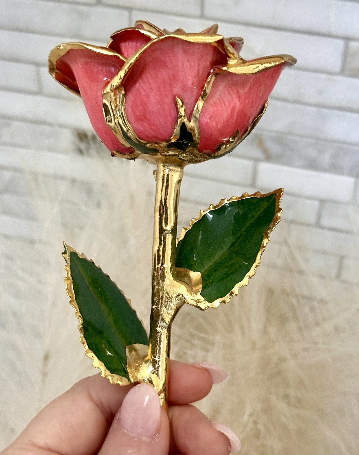 Steven Singer Jewelers – Real Rose – Preserved in 24k Gold – Pink