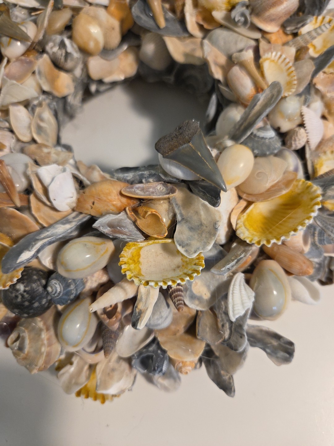 Coastal Seashell Wreath Fossil Shark Teeth Nautical 10″ Center Piece, Hang