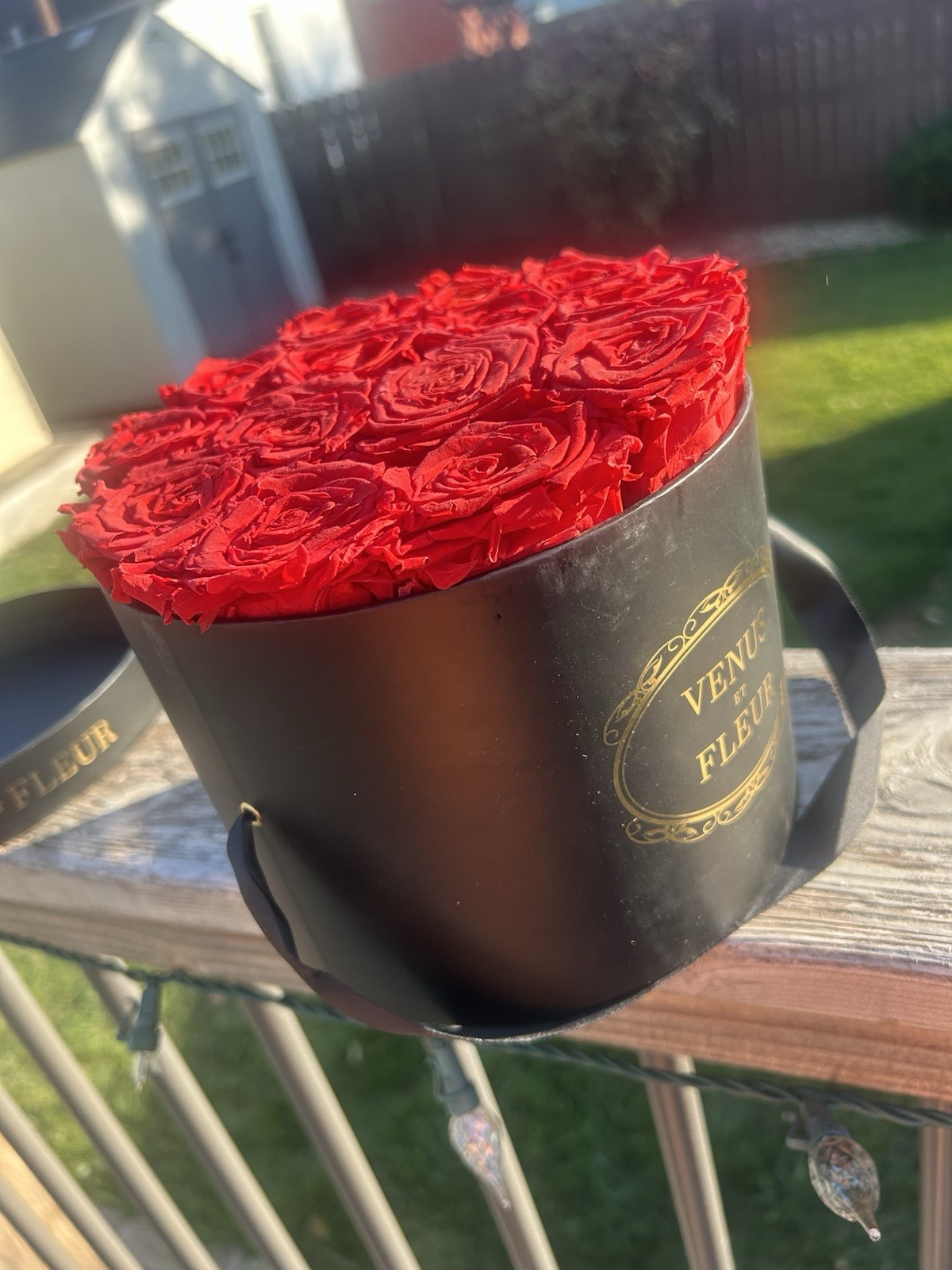 Venus Et Fleur Red Roses Flower Box Arrangement small Round Black box