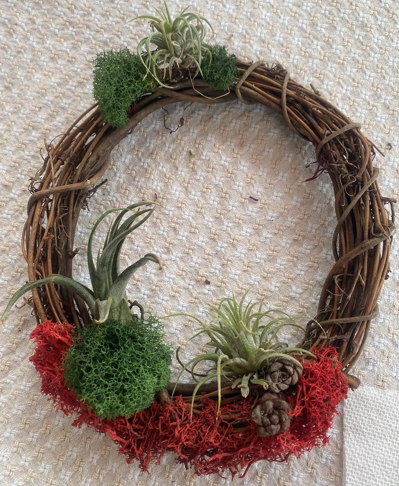 Air Plant, Preserved Moss Wall Art, Live Plants On Wreath, Festive