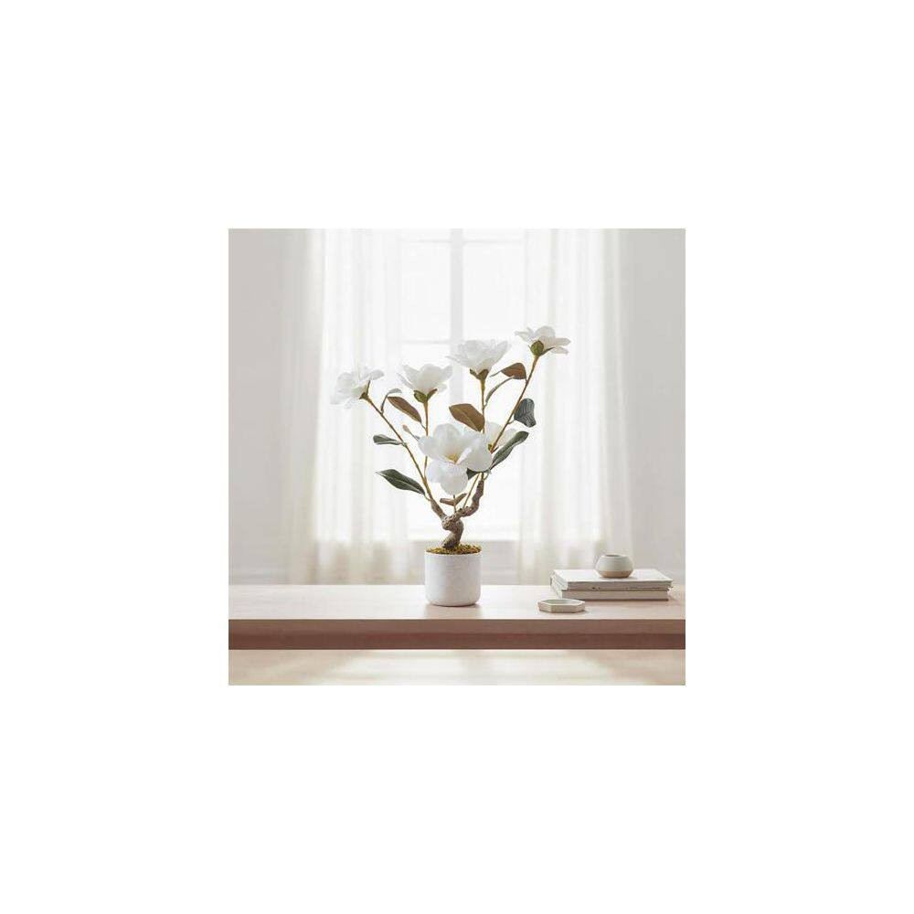 23.6 In. 2-Pack Artificial Magnolia and Orchid Plants,Realistic White Faux Flowe