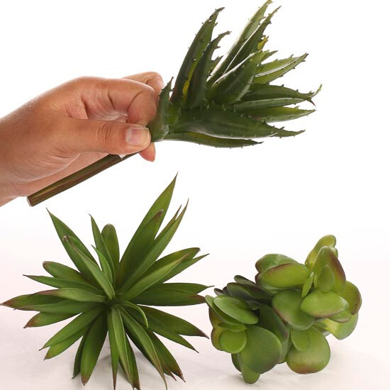 Set of 3 Assorted Style Vinyl Succulent Greenery Accessory Picks