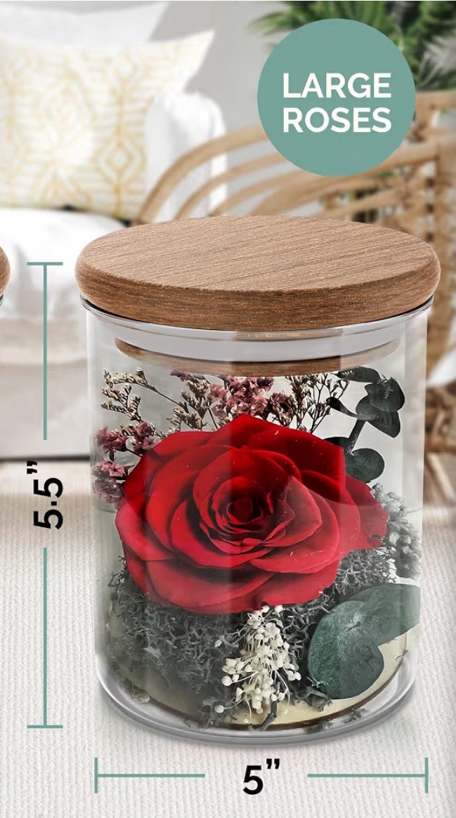Havenstock Hobbies Everlasting Preserved Real Red Rose Glass Jar Acacia Lid