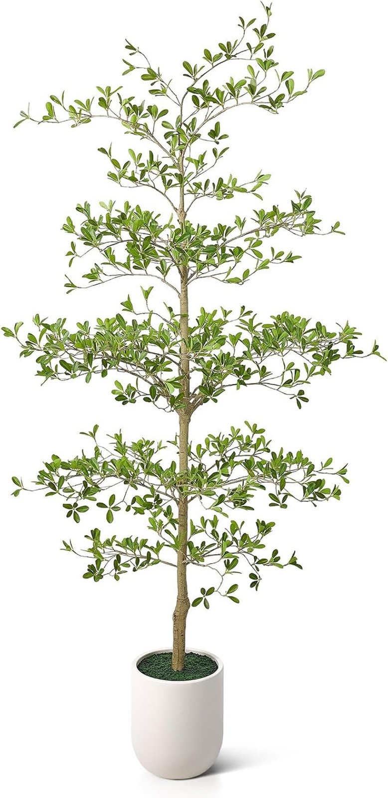 8FT Faux Black Olive Tree with White Planter – Elegant Indoor Decor