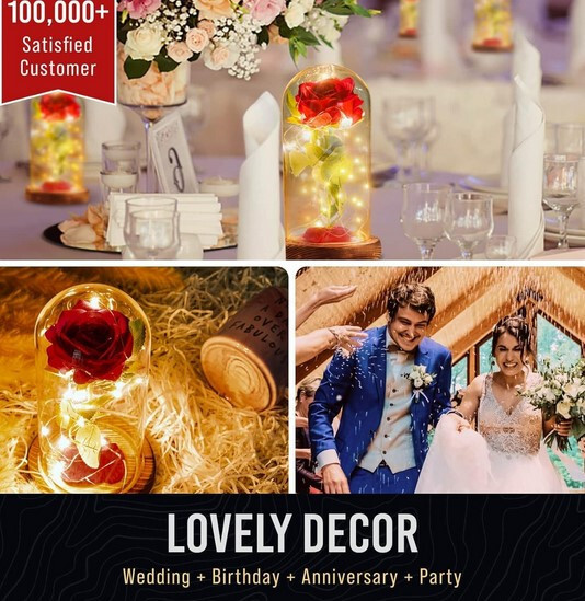 Premium Rose in Glass Dome Beautiful Fairy Lights- Beauty and The Beast Inspired