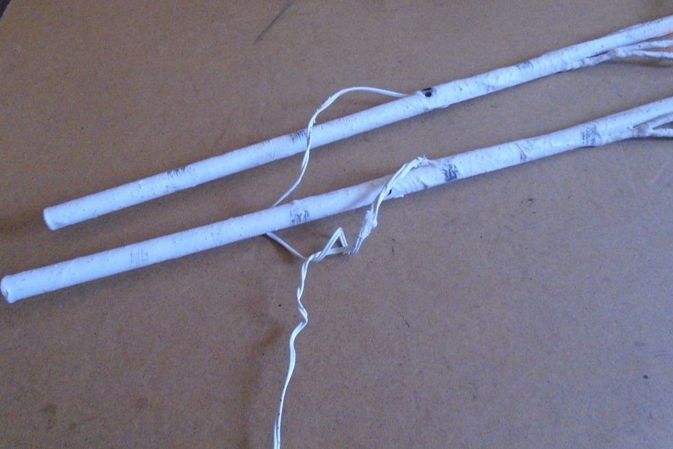 Evergreen LED Birch Branch Pack of 2 (battery operate)