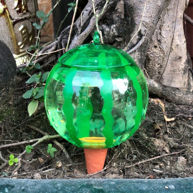 Plant Watering Ball Suitable for Indoor Outdoor Plant Automatic Plant Drippers