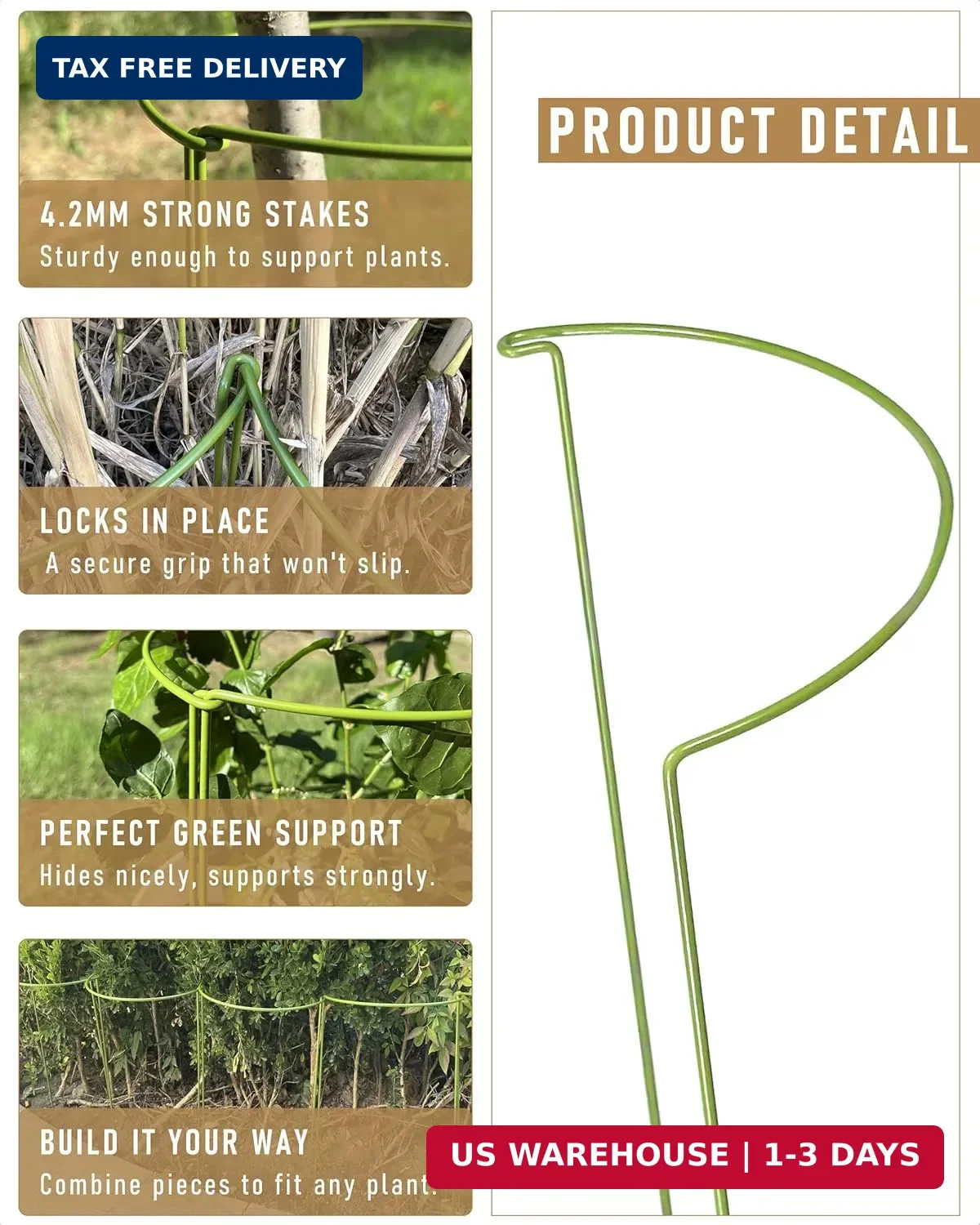6-Packy Plant Support Stakes, Steel Stakes for Indoor Plants, Monstera & Peony S