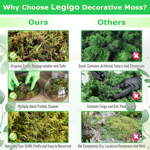 Green Moss for Crafts, Real Forest Moss for Plants Indoor, Table 2.6 LBS