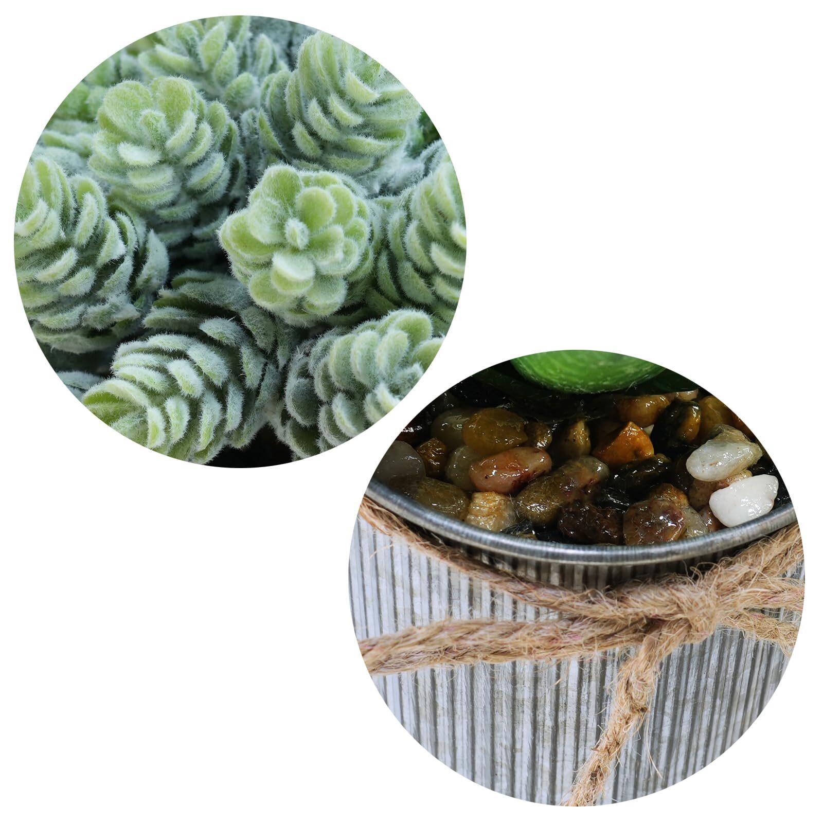Set Of 3 Small Artificial Succulent Potted Plants Faux Aloe Hops Hanging Succule
