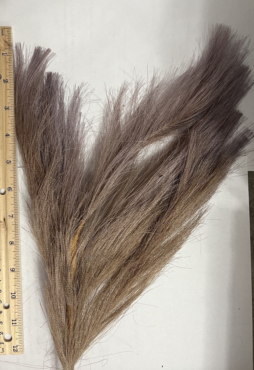 Ansemble of Faux Pampus Grass Bohemian Style Floral Arrangements about 5 Sprigs