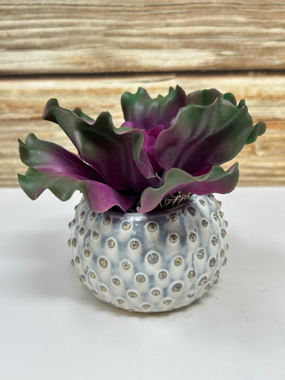 5″ Artificial Soft PURPLE & Dark Green Soft Curly Echeveria SUCCULENT, 3″ Cerami