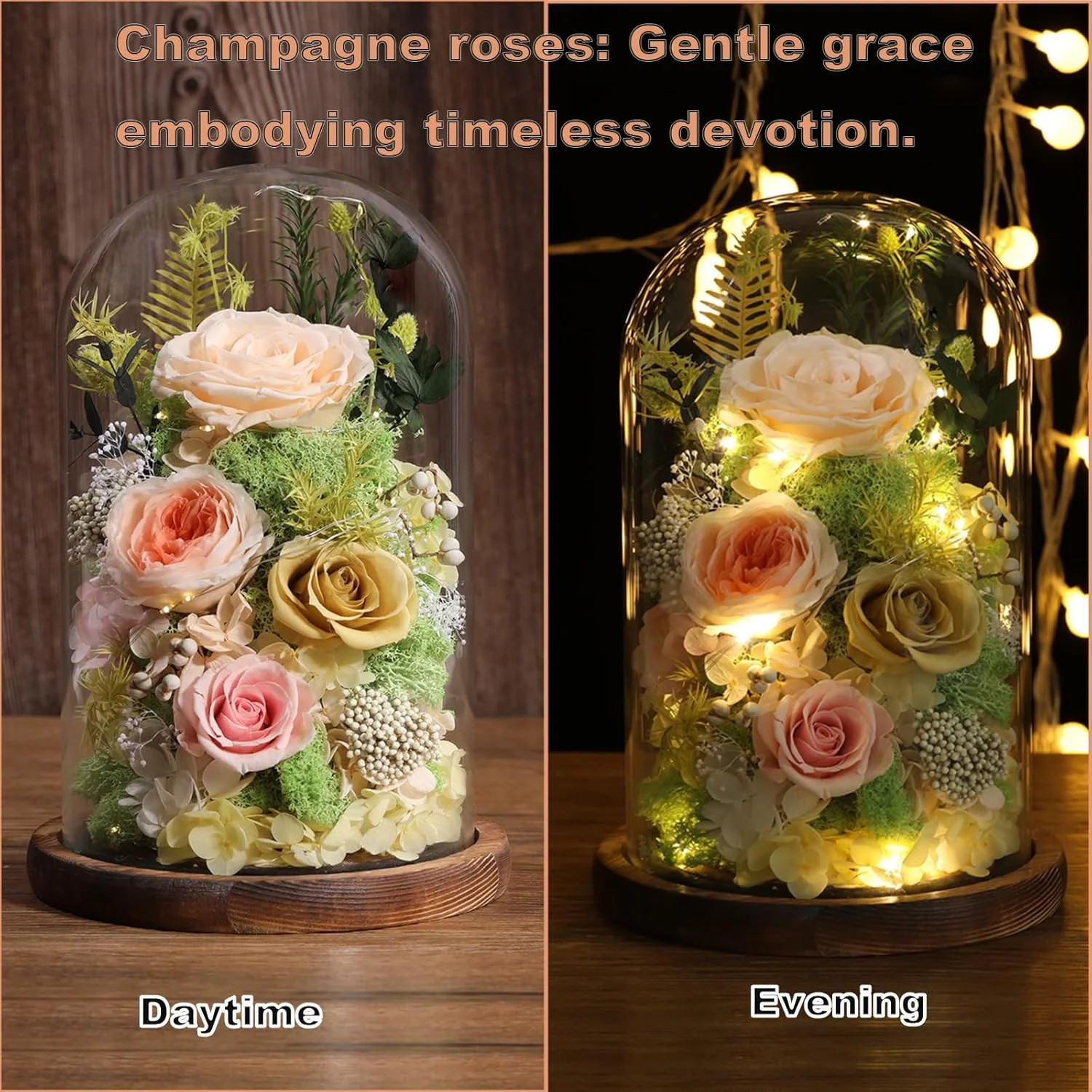 lovenfold Flowers for Delivery Preserved Flowers Rose in Glass Dome,Champagne Ro