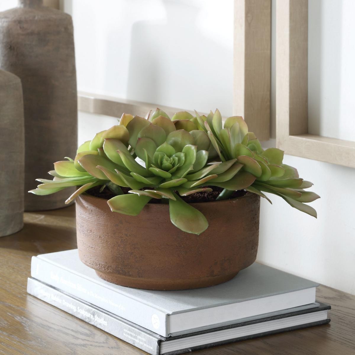 Uttermost 60267 Sable Succulent Terracotta and Green Accent In Pot