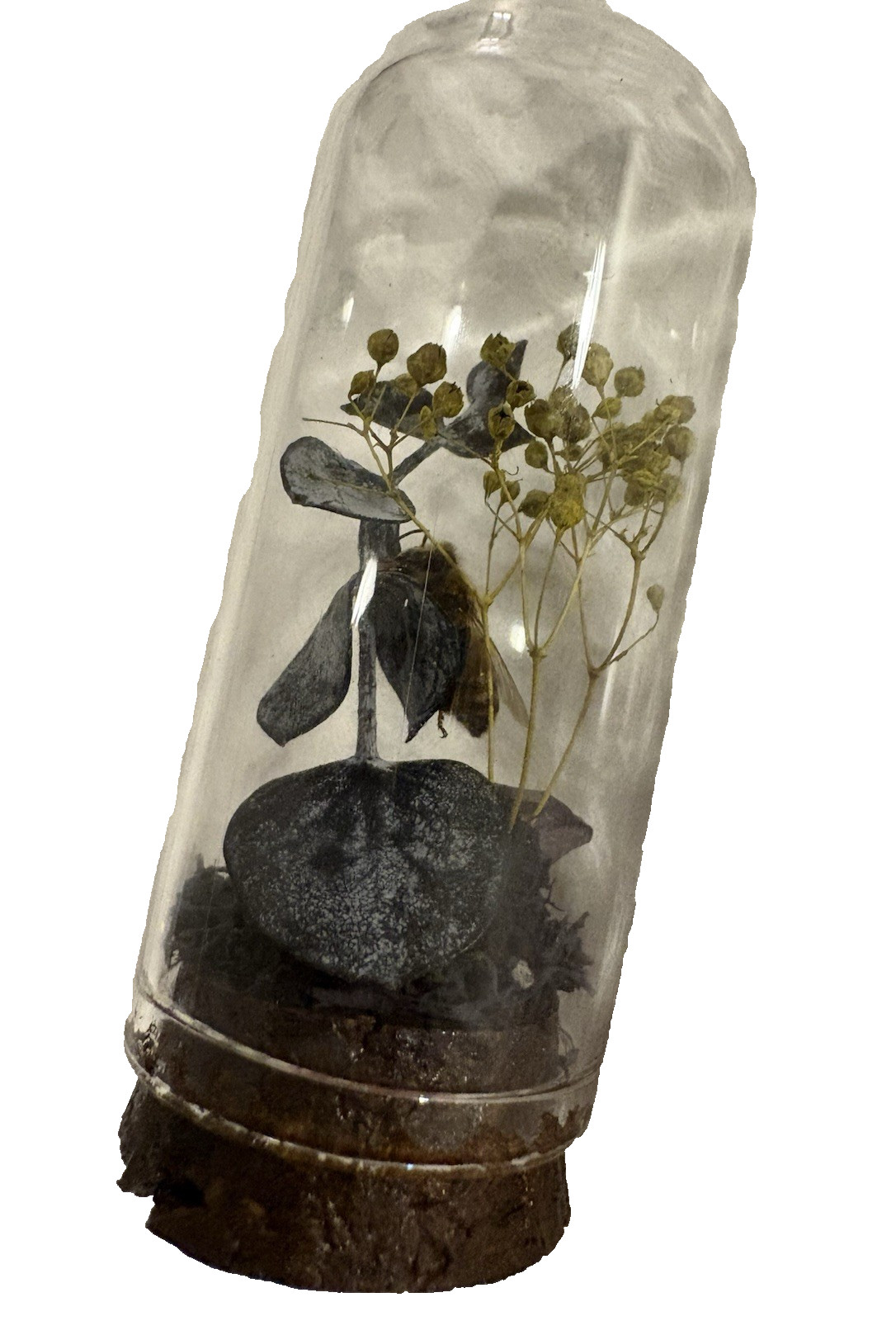 Taxidermy Bee and Flowers In Glass Dome with Cork Base Home Decor
