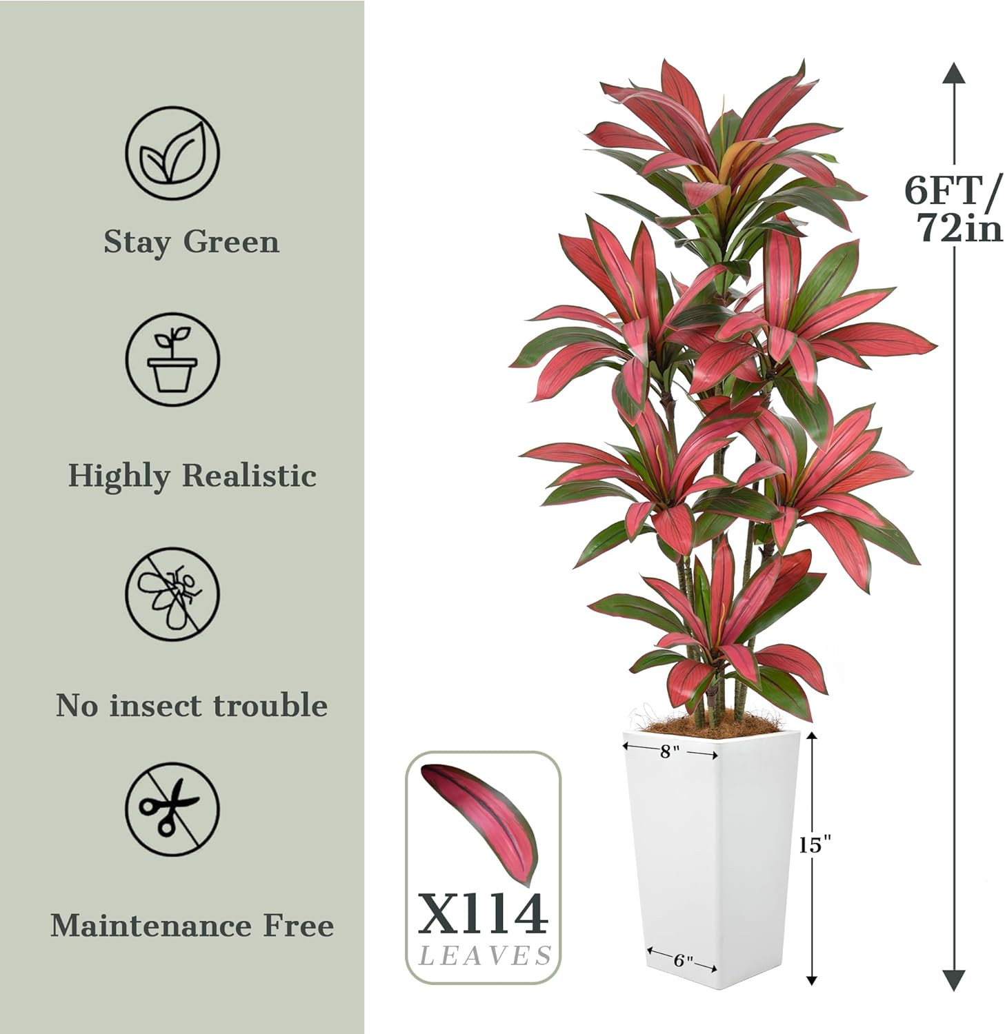 6FT Faux Dracaena Tree with White Planter – Realistic Indoor Tropical Decor