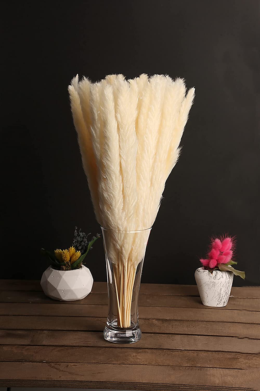 Luxury Box Protected Natural Pampas Grass Plant 30 Pieces 17” Dried Cake Decor