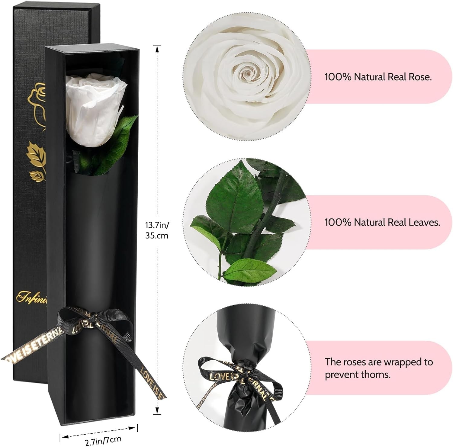 Single Elegant Preserved Rose – Timeless Gift for Her Birthday or Mother’s Day