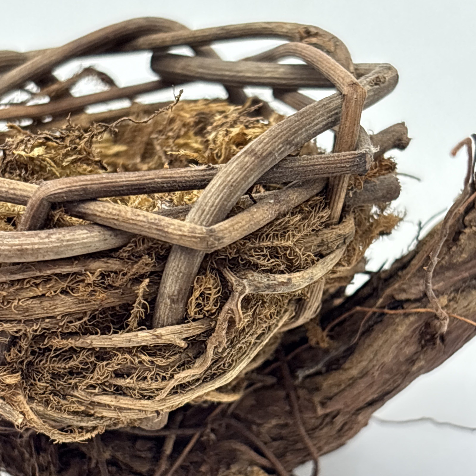 Bird nest Garden decorations, home, floral accent, crafts, center piece