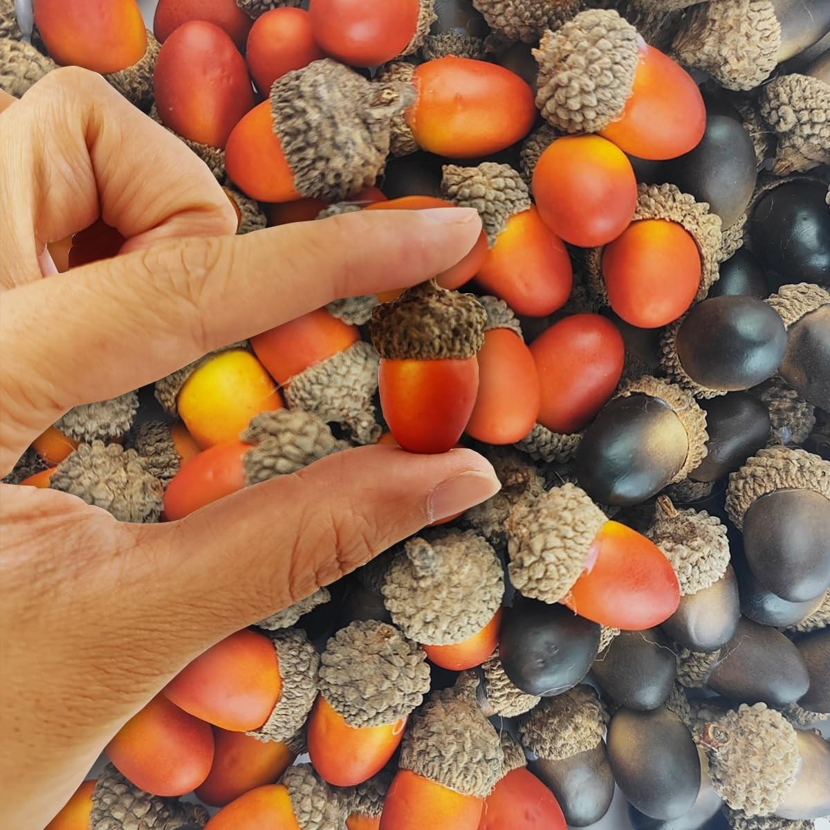 160PCS Lifelike Artificial Acorns – Realistic Simulation Decor for Crafts, Weddi