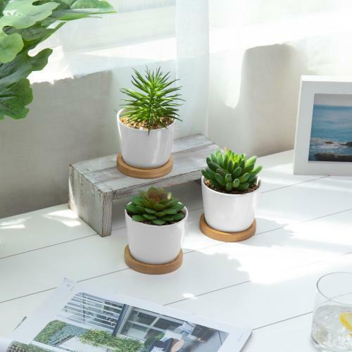 Set of 3 Artificial Succulent Plants in White Ceramic Pots with Bamboo Saucers