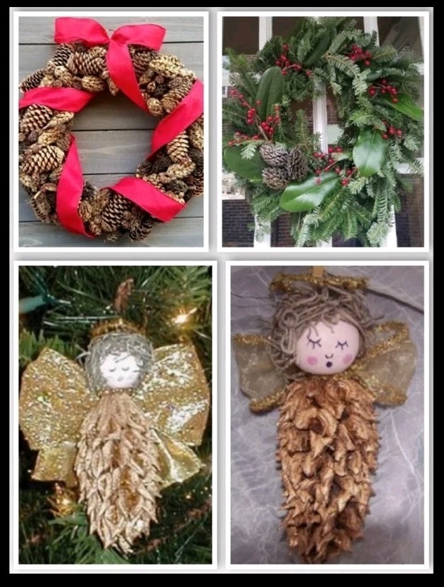 Real Magnolia Seed Pods Southern Potpourri Wreath Making Crafts Terrarium Fairy