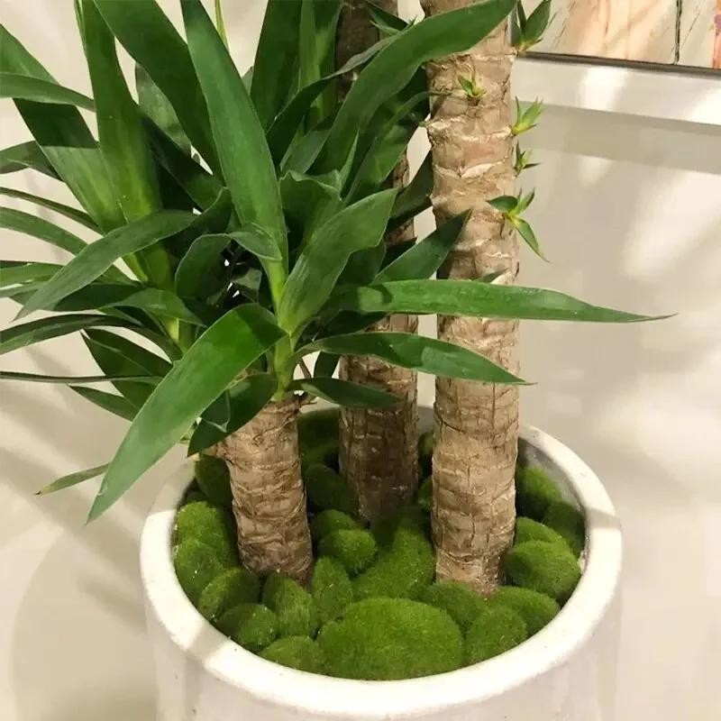 10pcs Artificial Moss Rocks Fake Green Stones Garden Pot Craft Decor Set