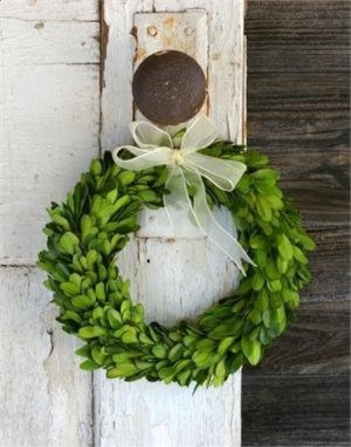 Preserved Boxwood Wreath Indoor Organic Greenery AccentSmall 6
