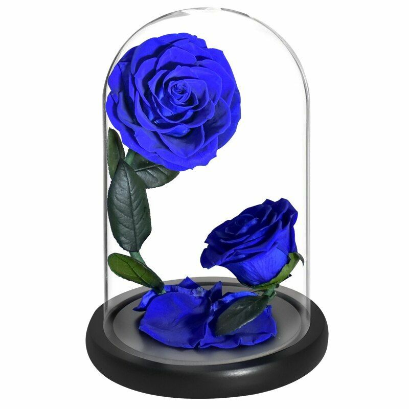 Eternal Flower Rose In Glass Valentine Birthday Wedding Gift For Surprize Womens