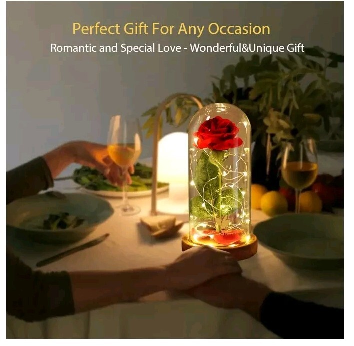 Rose Gifts for Women Beauty and the Beast Rose Kit, Red Silk Rose Lasts Forever