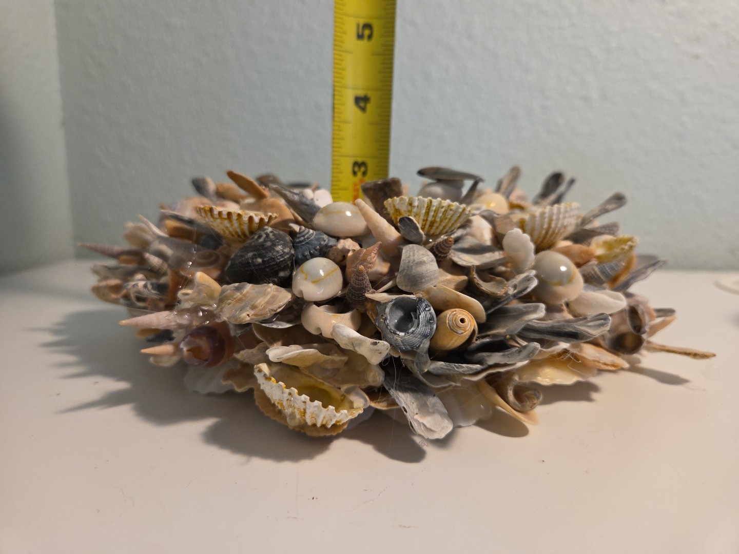 Coastal Seashell Wreath Fossil Shark Teeth Nautical 10″ Center Piece, Hang